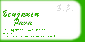 benjamin pava business card